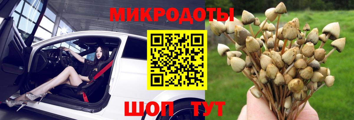 Обь  Псилоцибиновые грибы ЛСД  Вход с VPN 