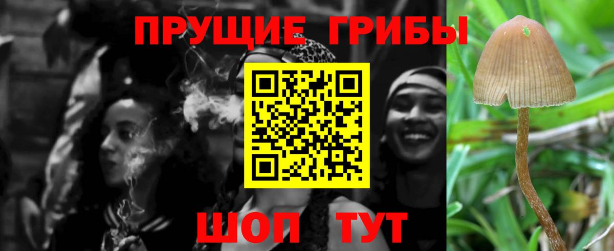 Псилоцибиновые грибы MAGIC MUSHROOMS Обь